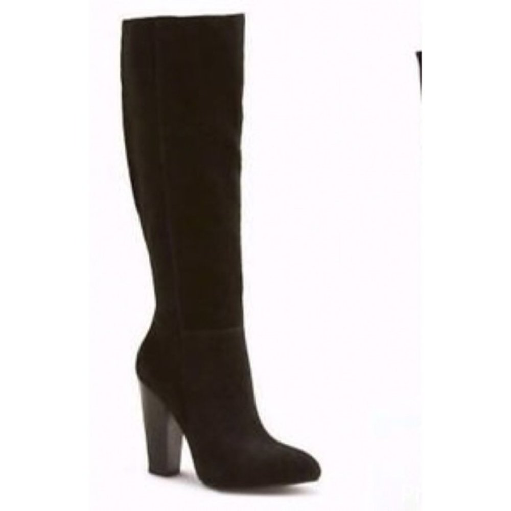Faryl Robin Suede Pointy Toe Knee High Boots